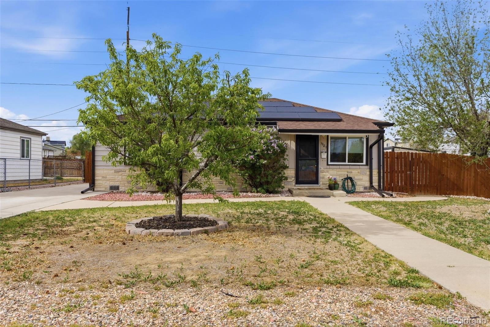 1981 Ruth Drive