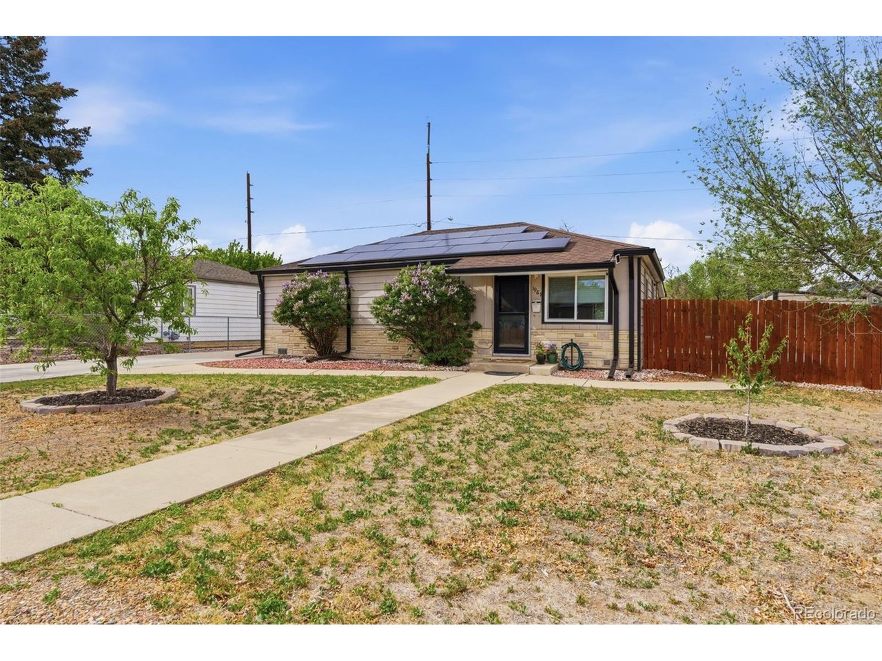 1981 Ruth Dr