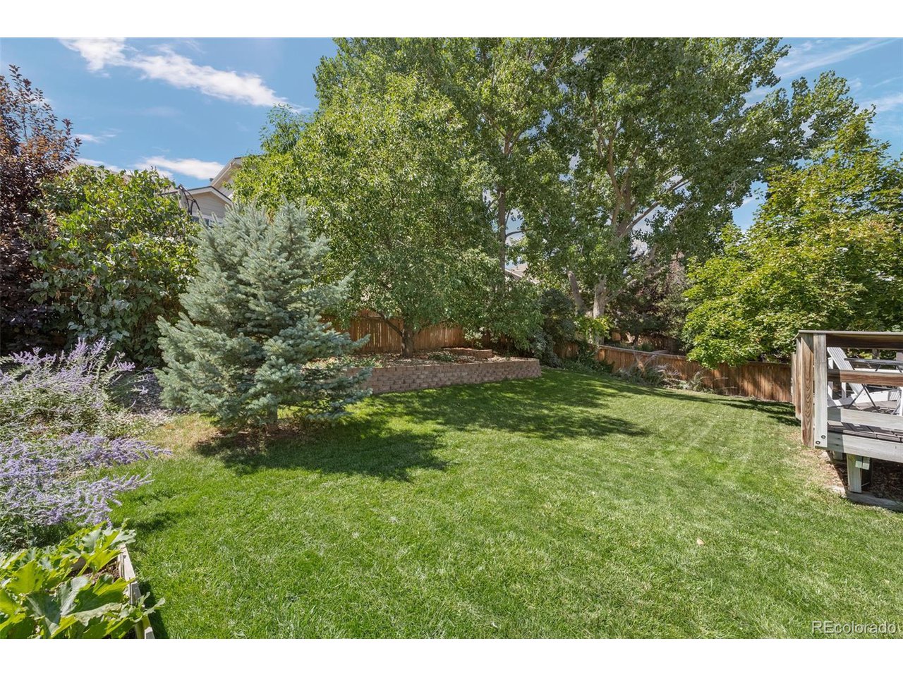 352 English Sparrow Dr