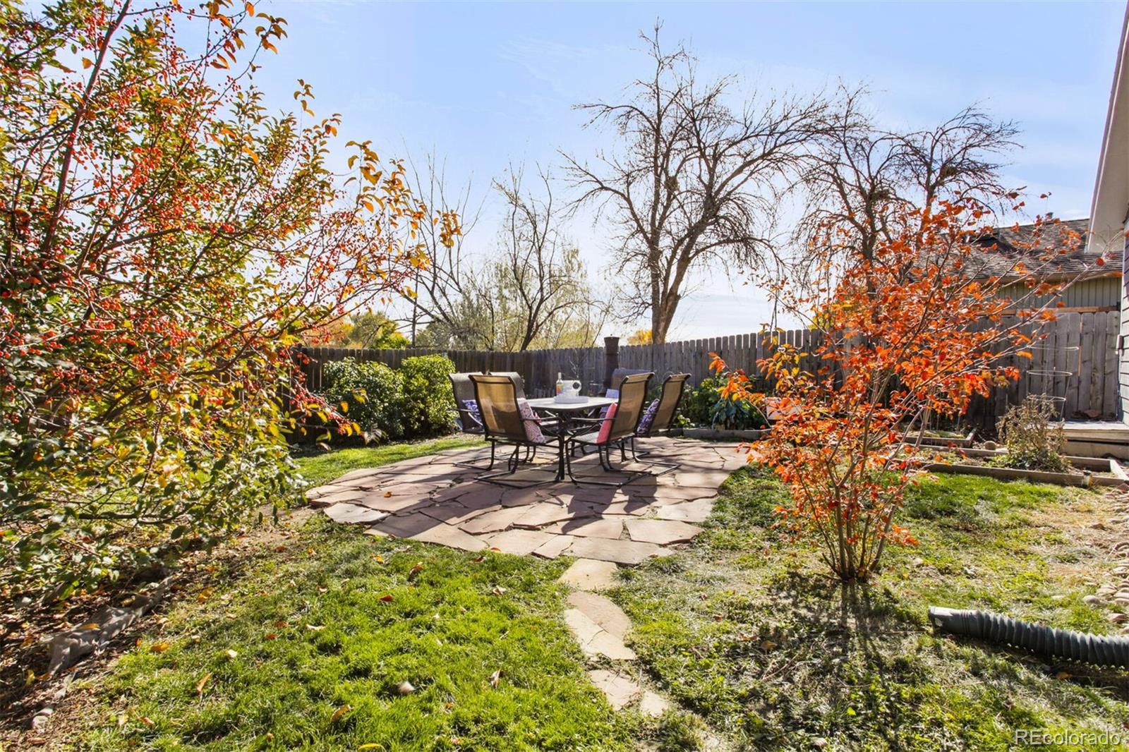 812 Hayden Court