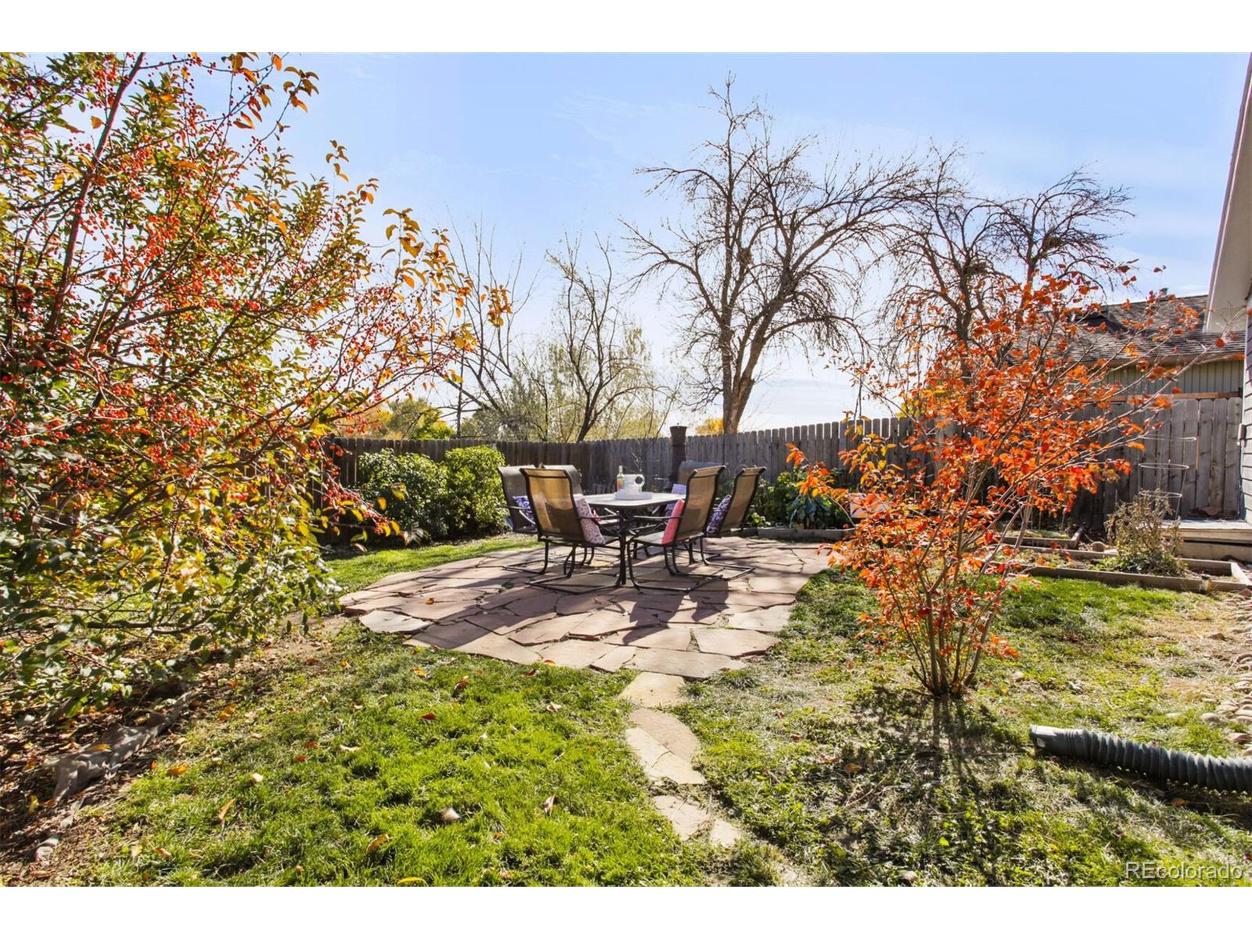 812 Hayden Ct