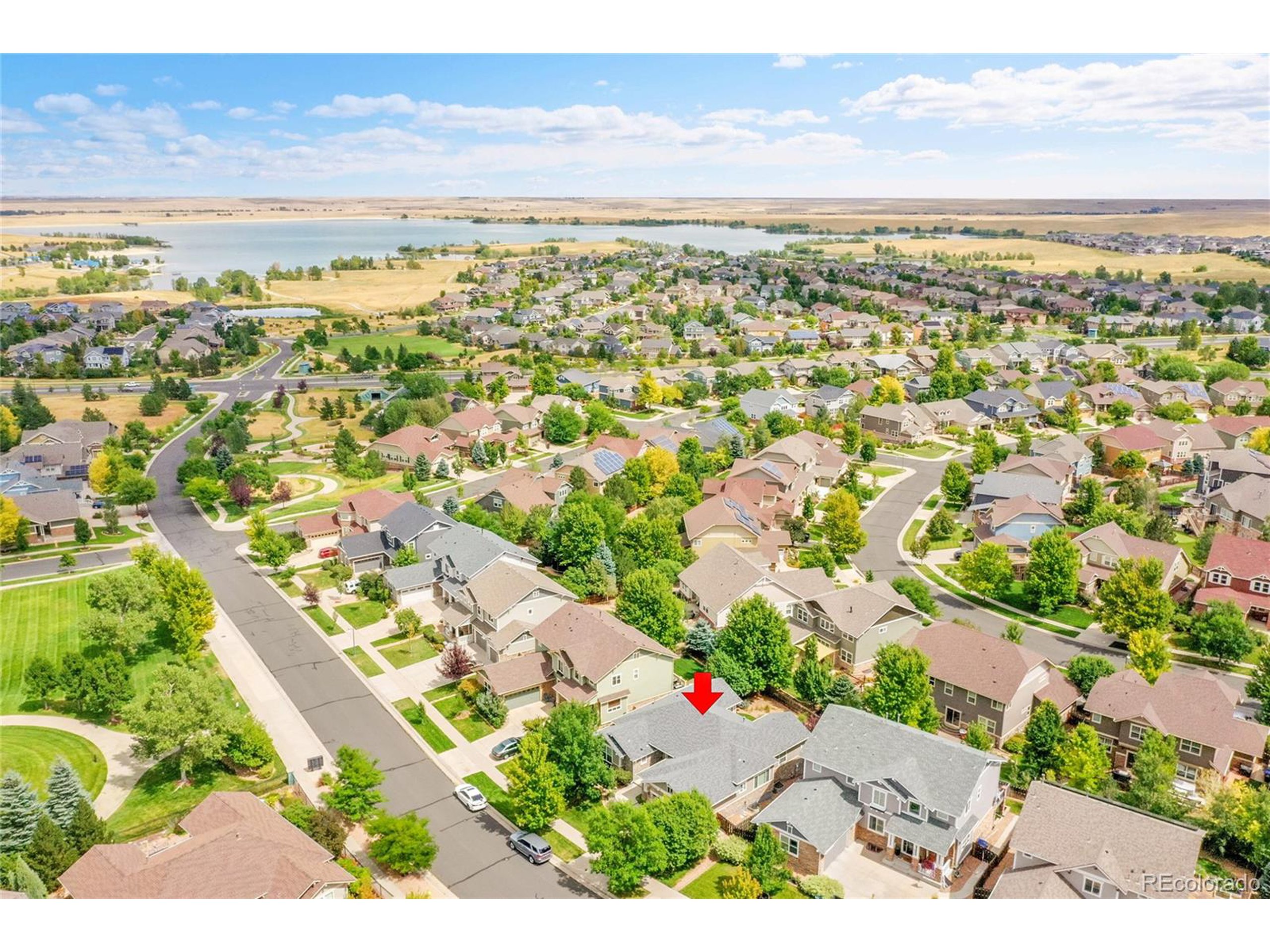 6440 S Newcastle Way