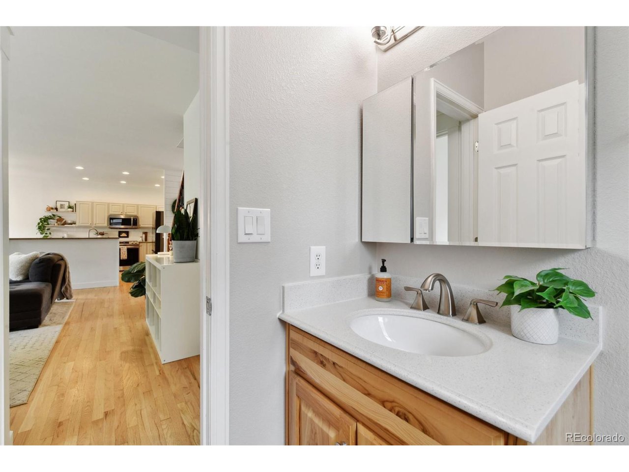 1819 Spring Water Ln