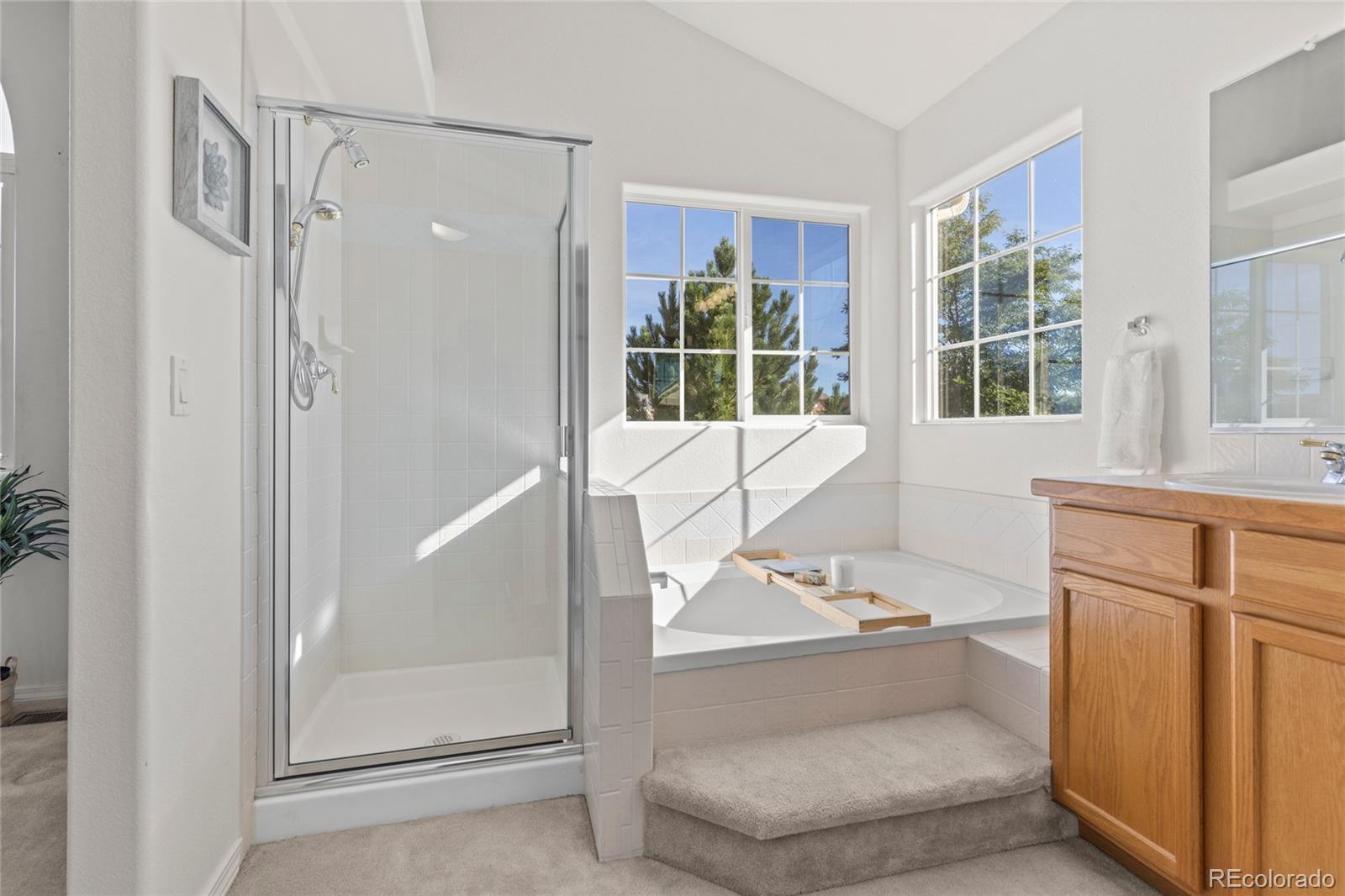 6780 Wild Indigo Drive