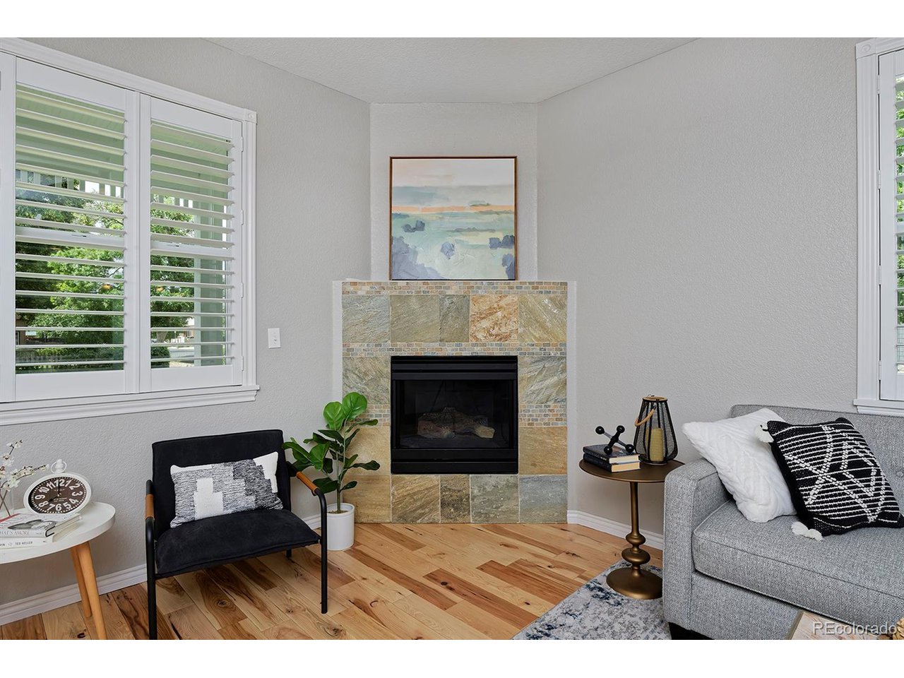 401 E Geneseo St A