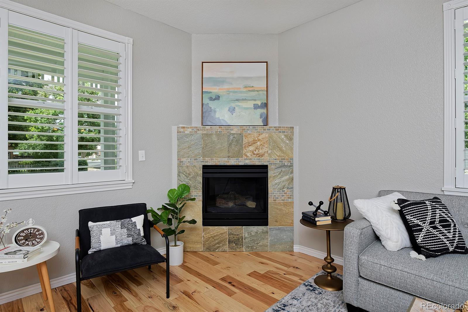 401 E Geneseo Street Unit: A