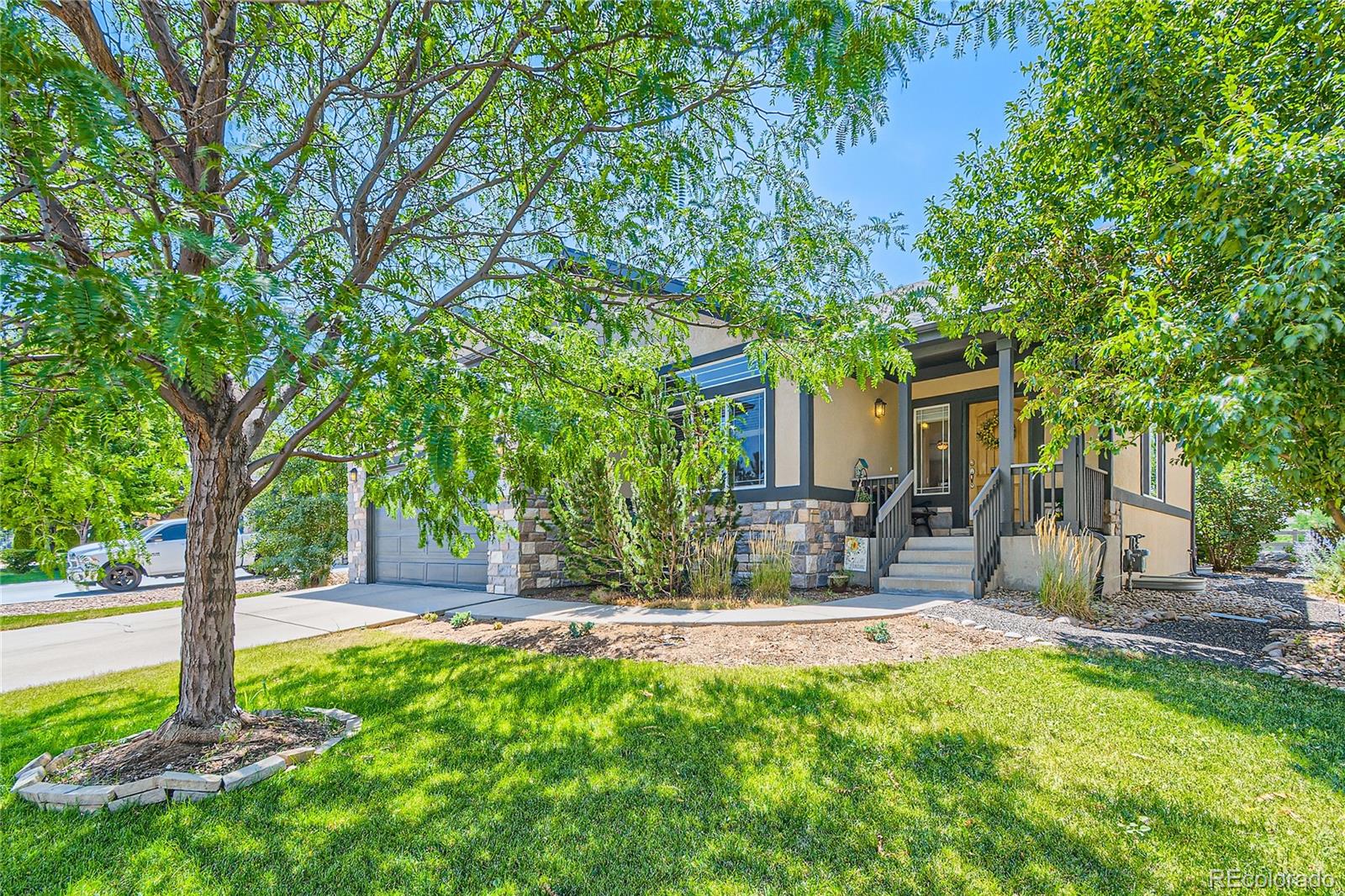 9829 Bluegrass Street