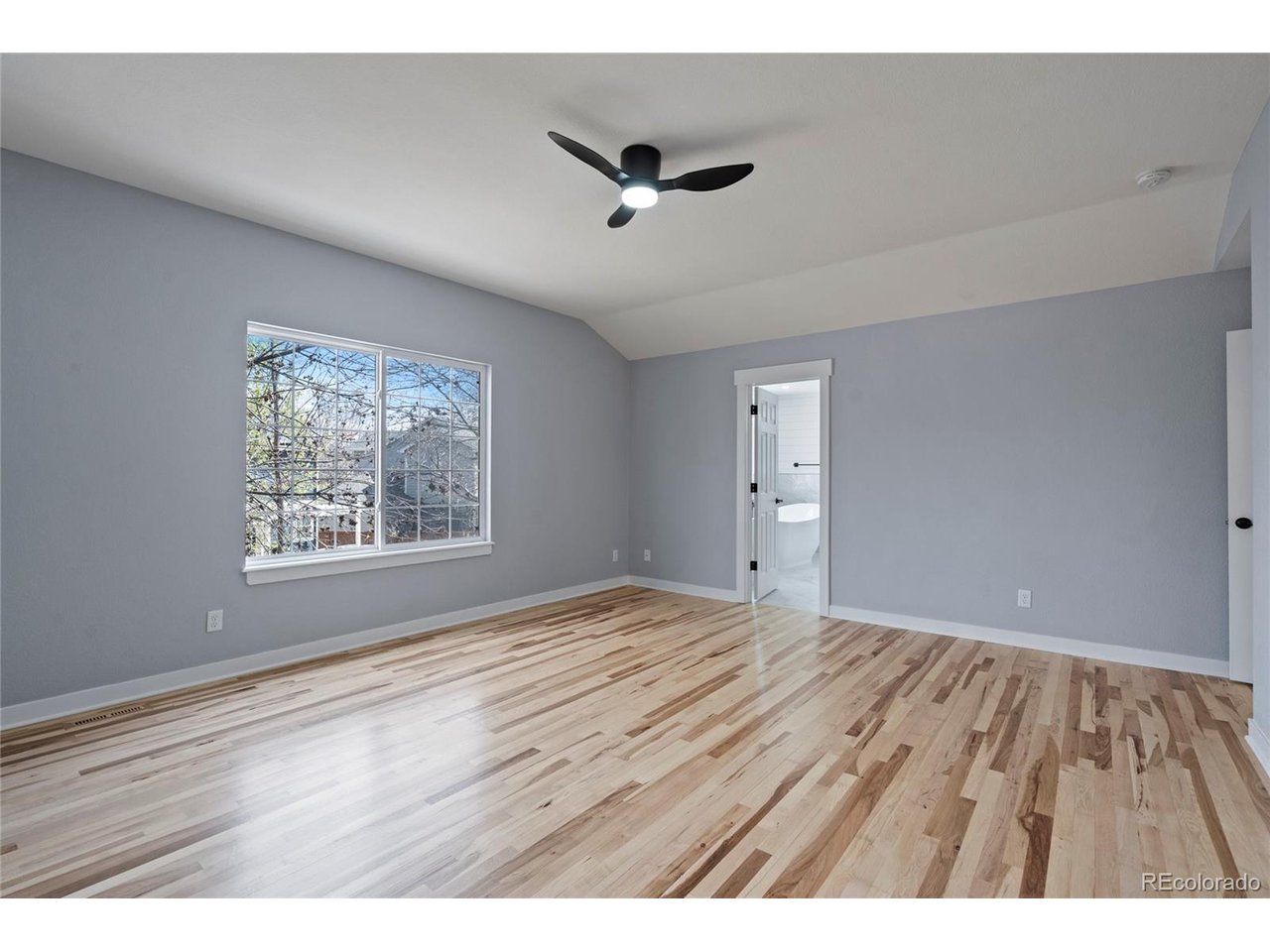 2508 Dallas Creek Ct