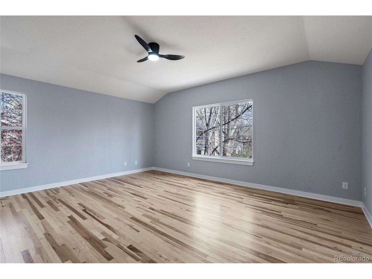 2508 Dallas Creek Ct