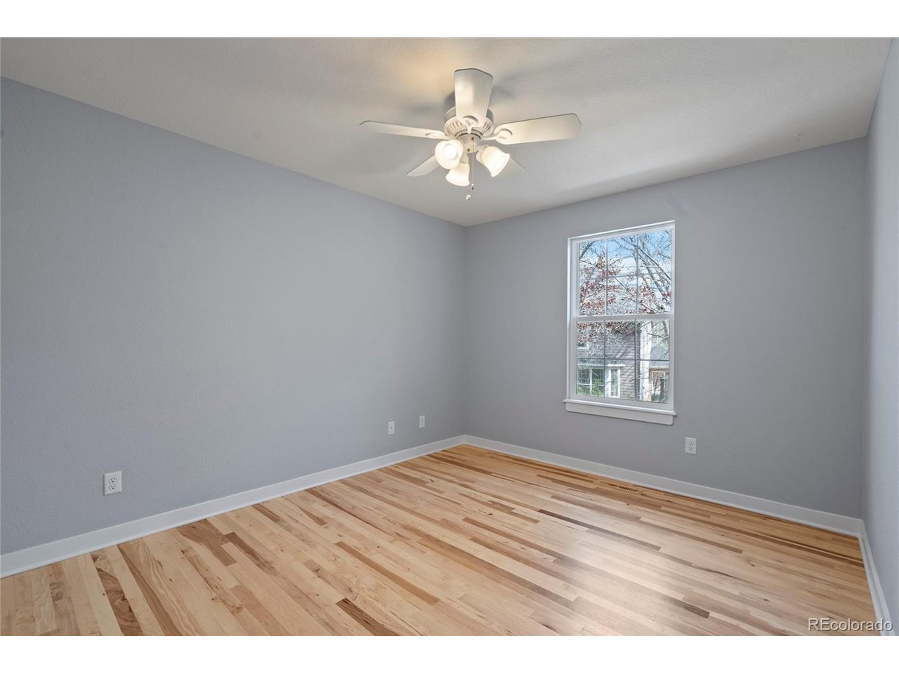 2508 Dallas Creek Ct