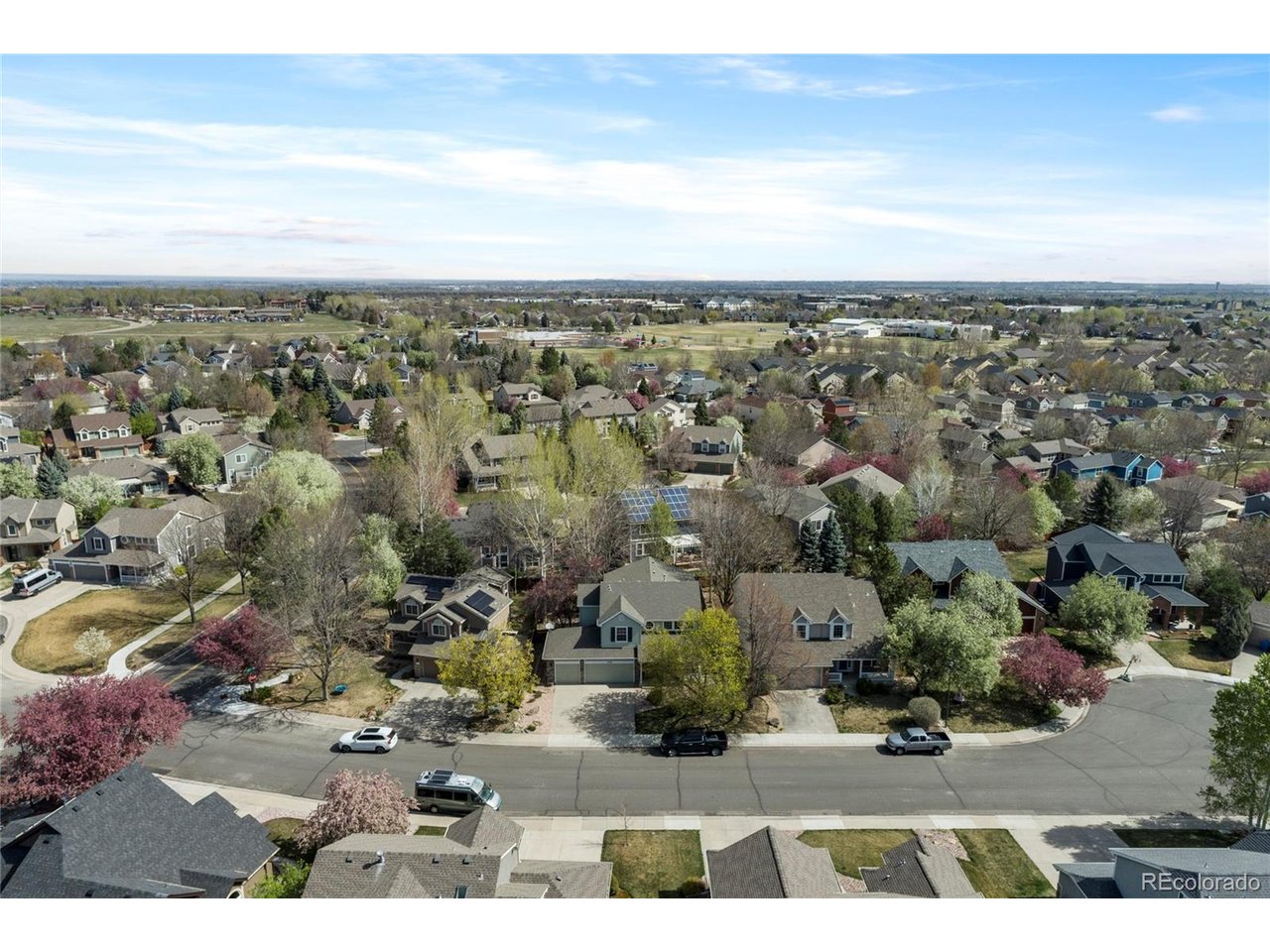 2508 Dallas Creek Ct