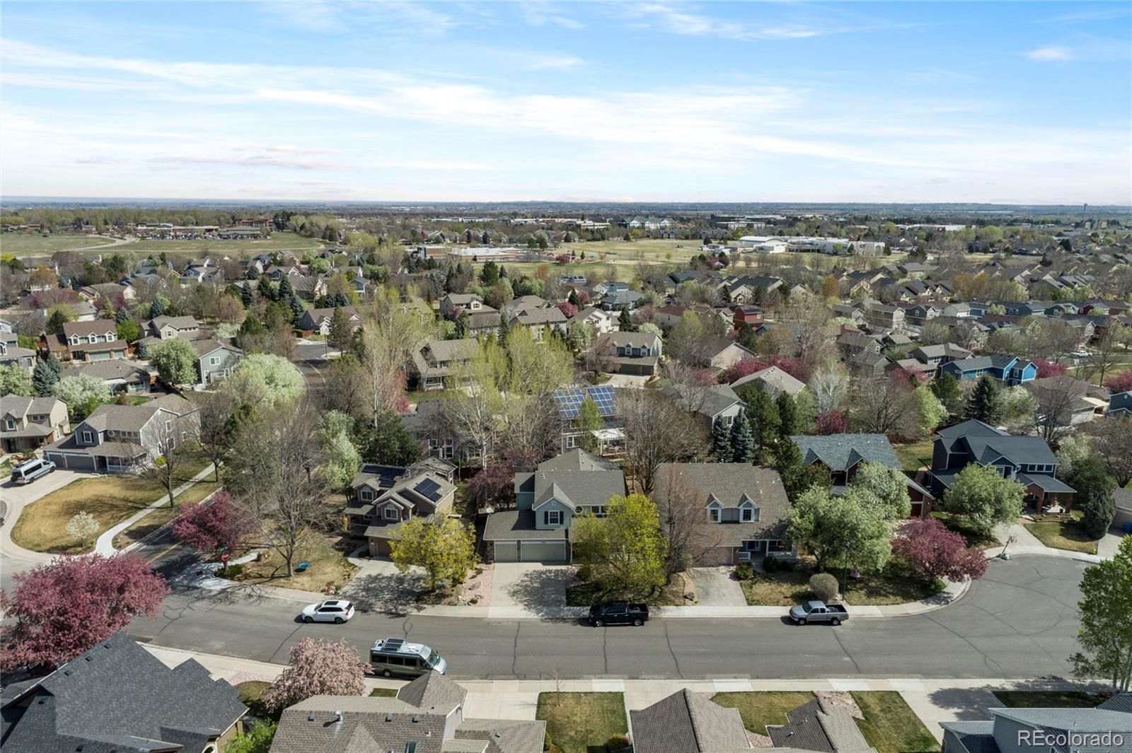 2508 Dallas Creek Court