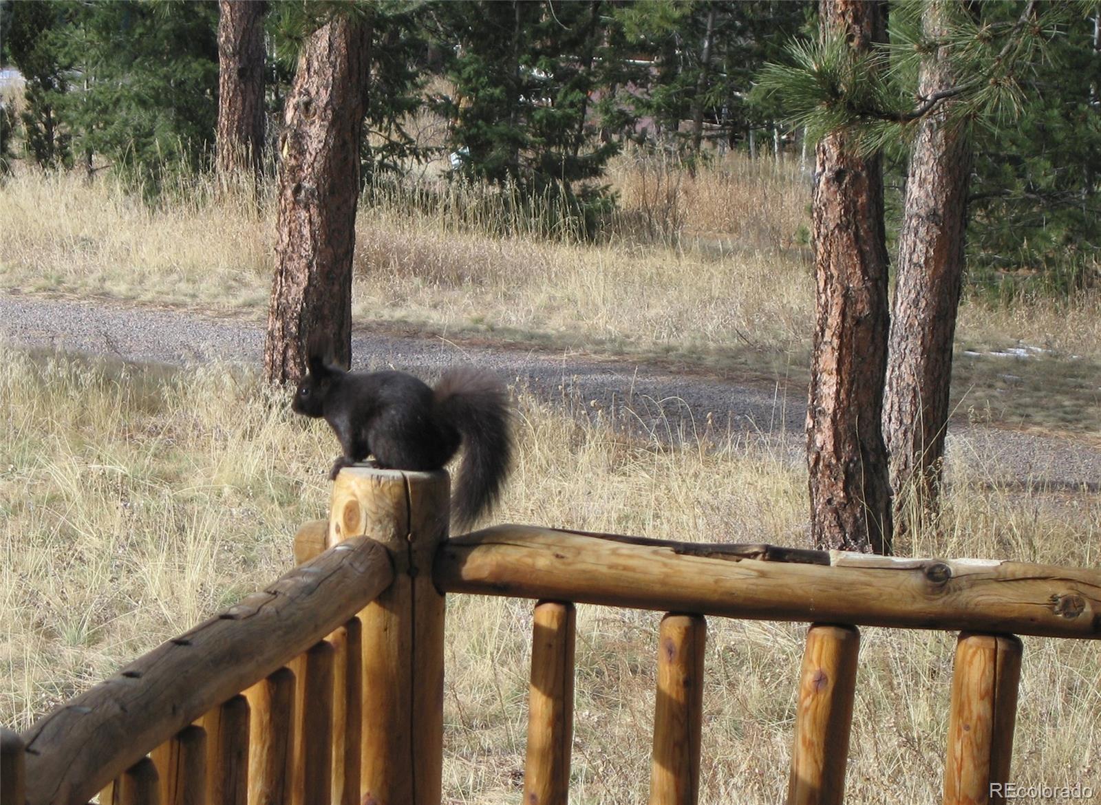 22901 Pinecrest Road