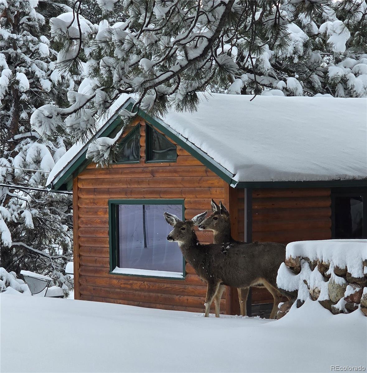 22901 Pinecrest Road