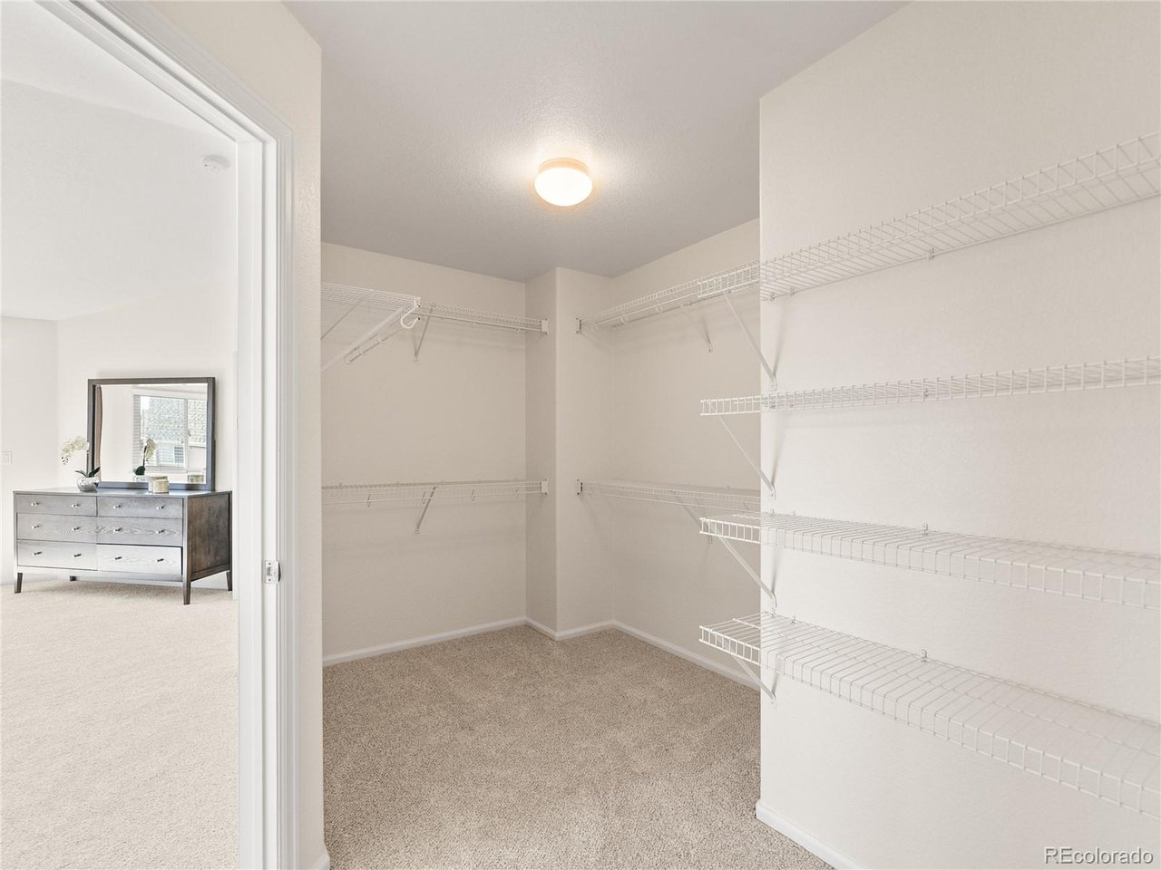 10650 Wagon Box Way