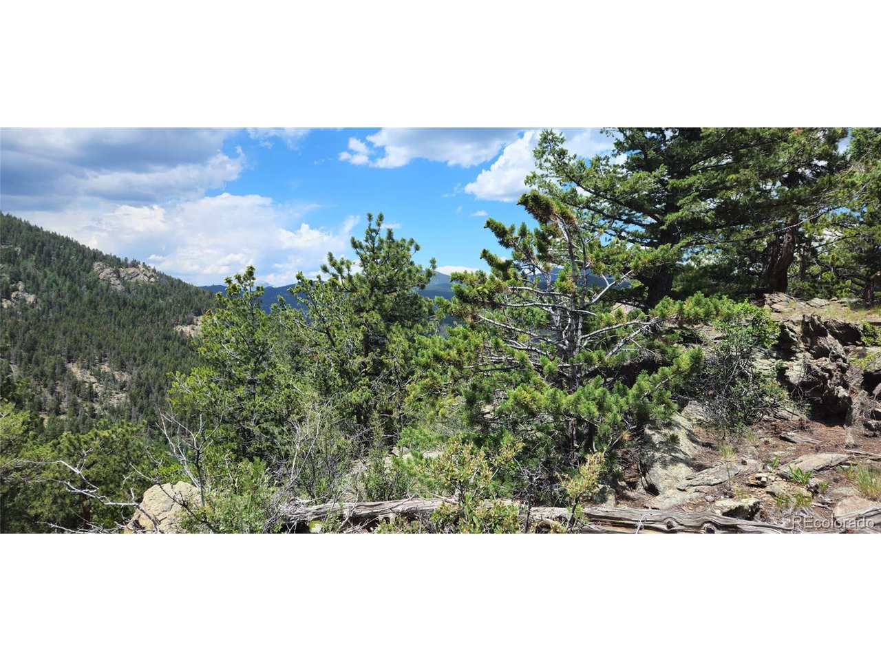 8077 Drew Hill Rd