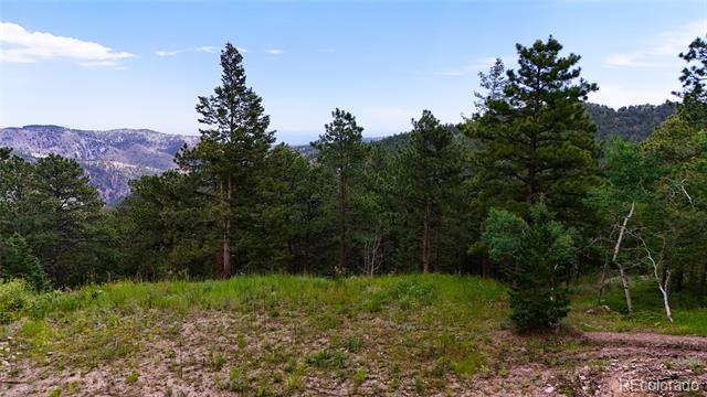 8077 Drew Hill Road