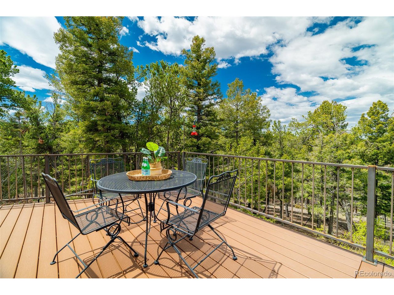 2755 Elk Ridge South