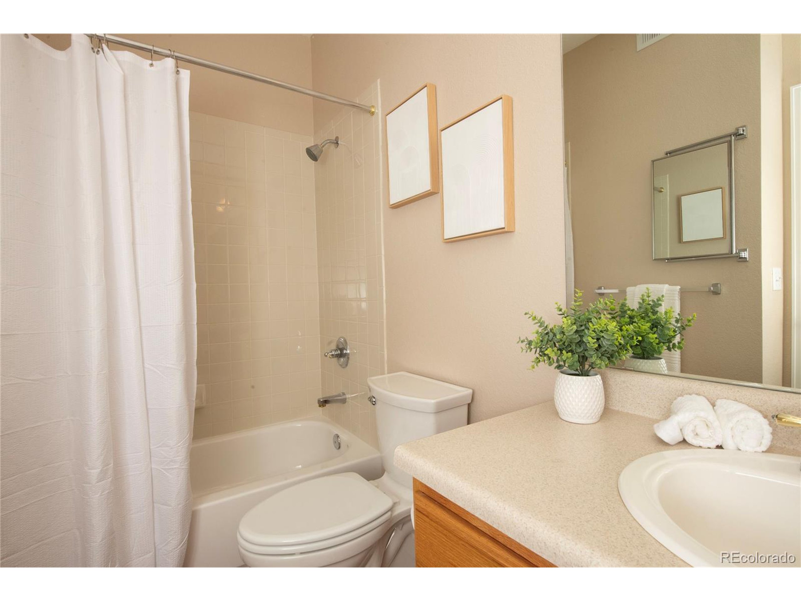 1703 Whitehall Dr 1E