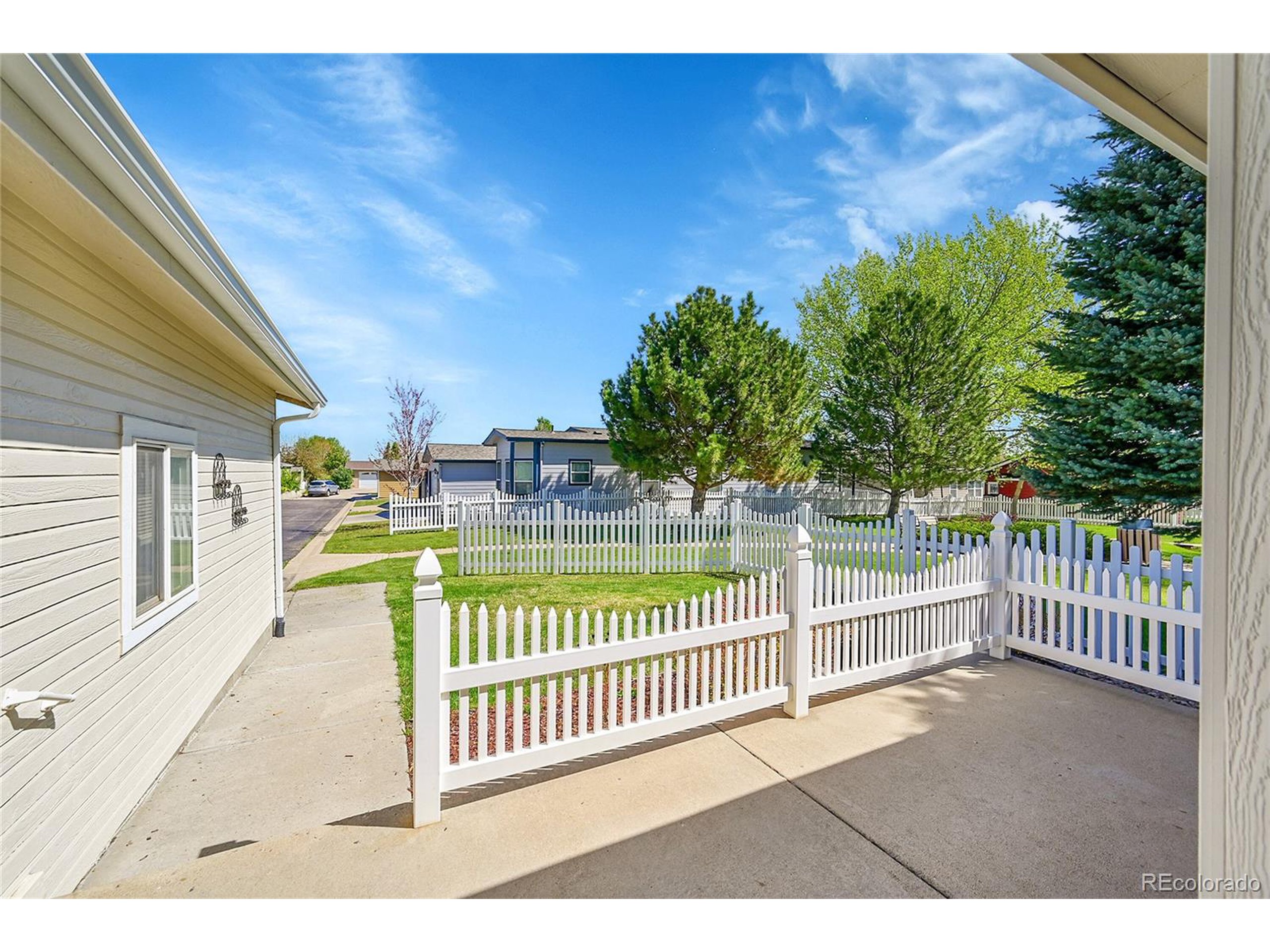 7870 Sunflower Green 151