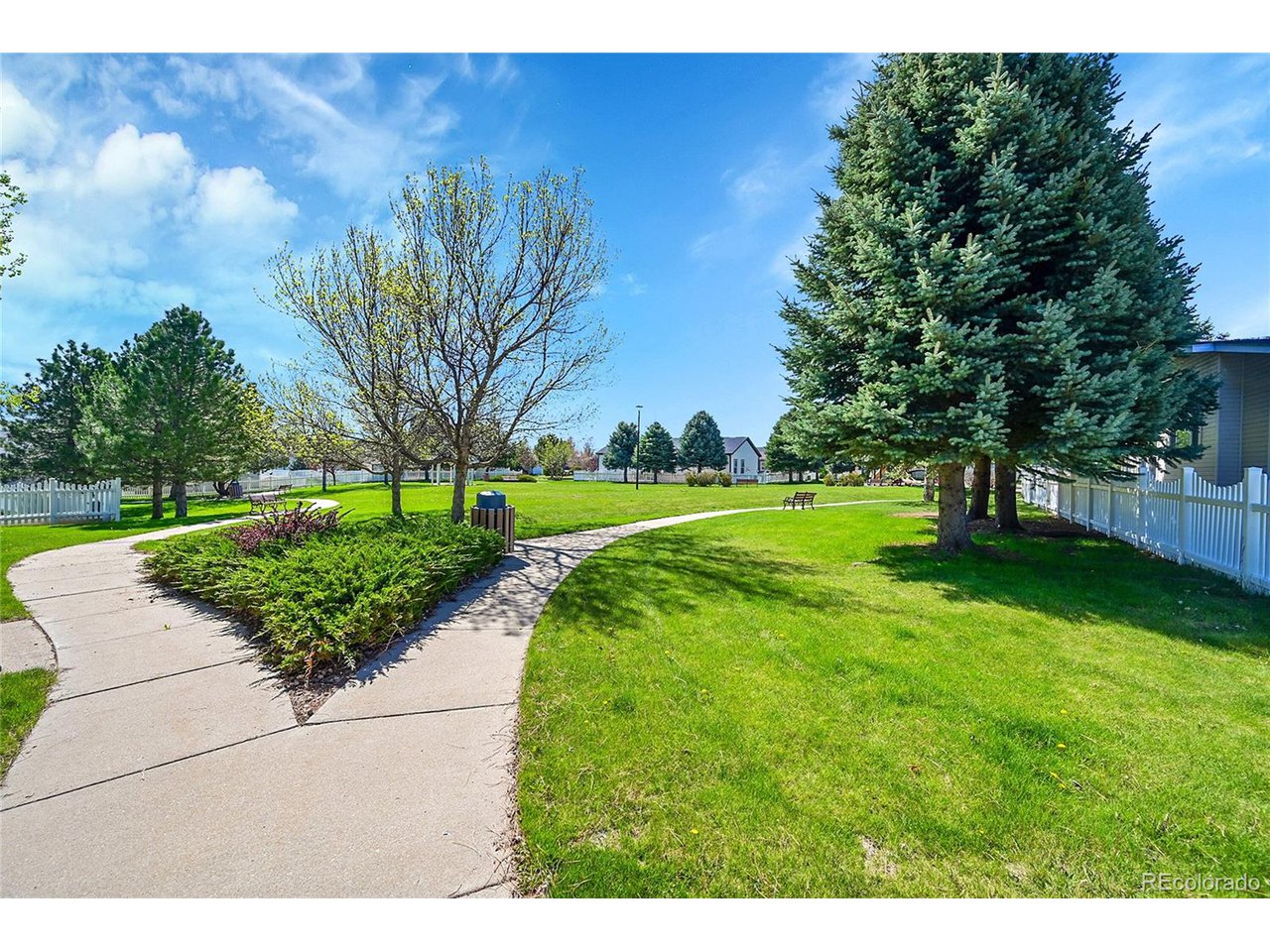 7870 Sunflower Green 151