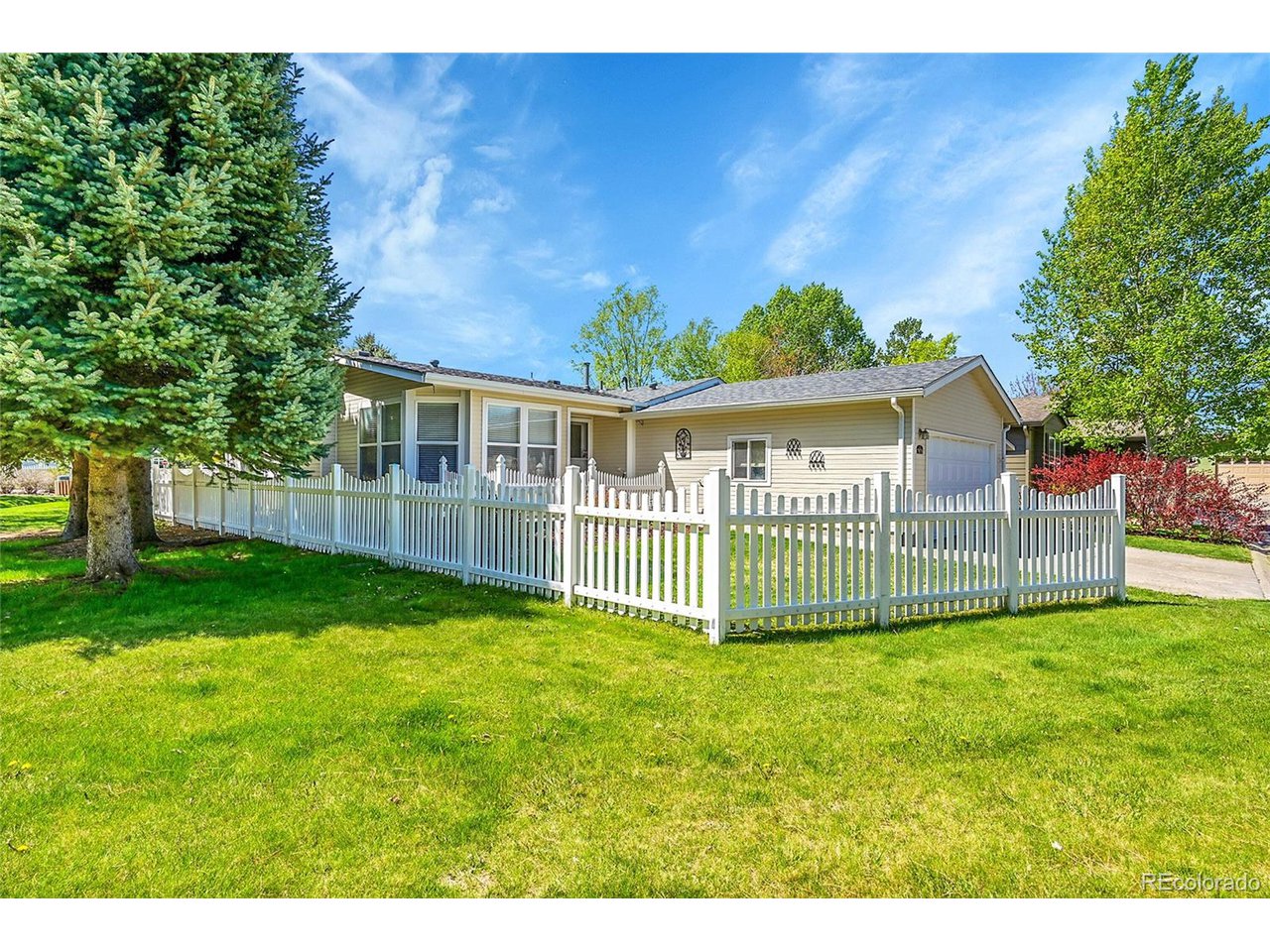 7870 Sunflower Green 151