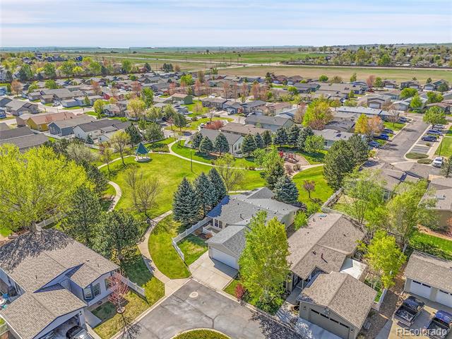 7870 Sunflower Green Unit: 151