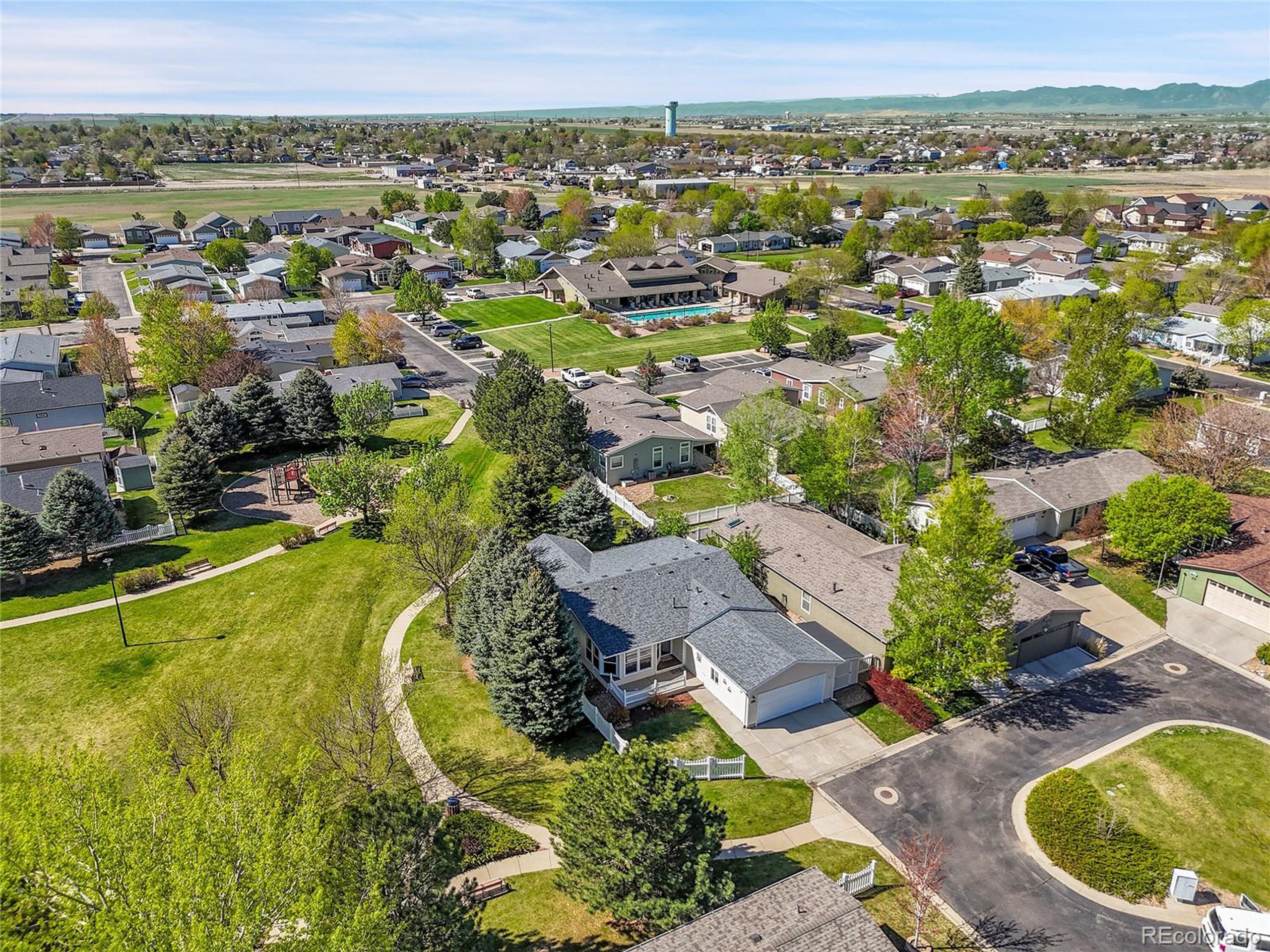 7870 Sunflower Green 151