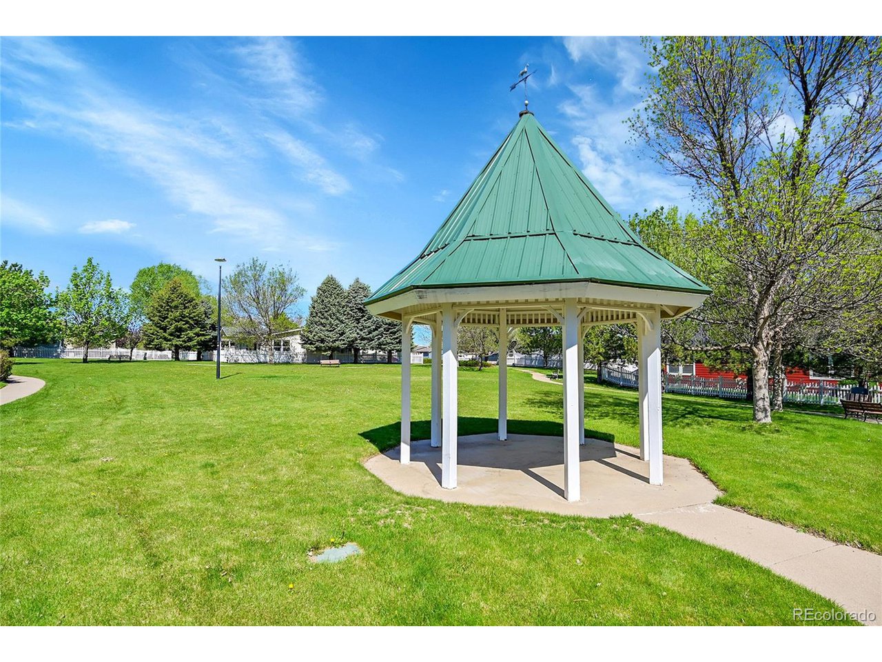 7870 Sunflower Green 151