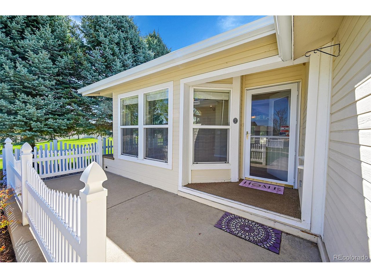 7870 Sunflower Green 151