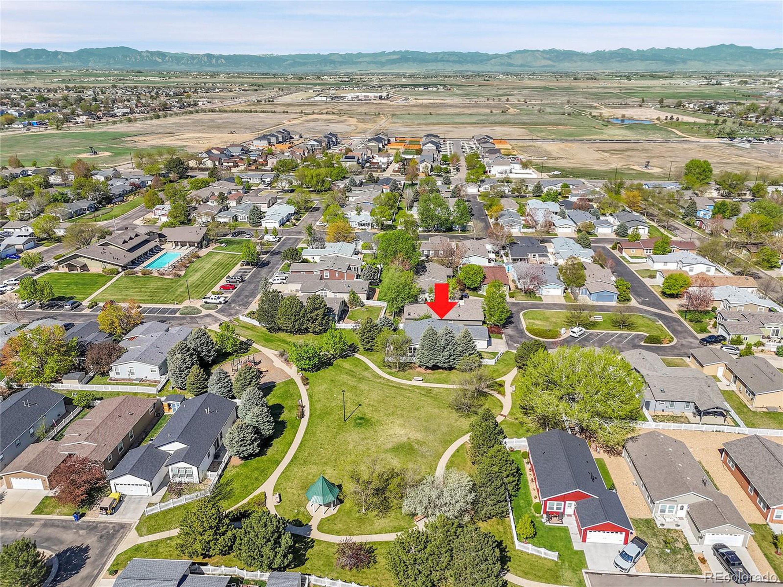 7870 Sunflower Green 151