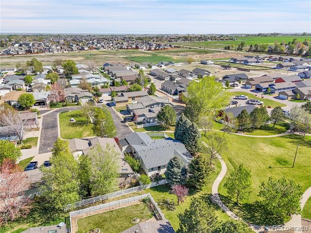 7870 Sunflower Green Unit: 151