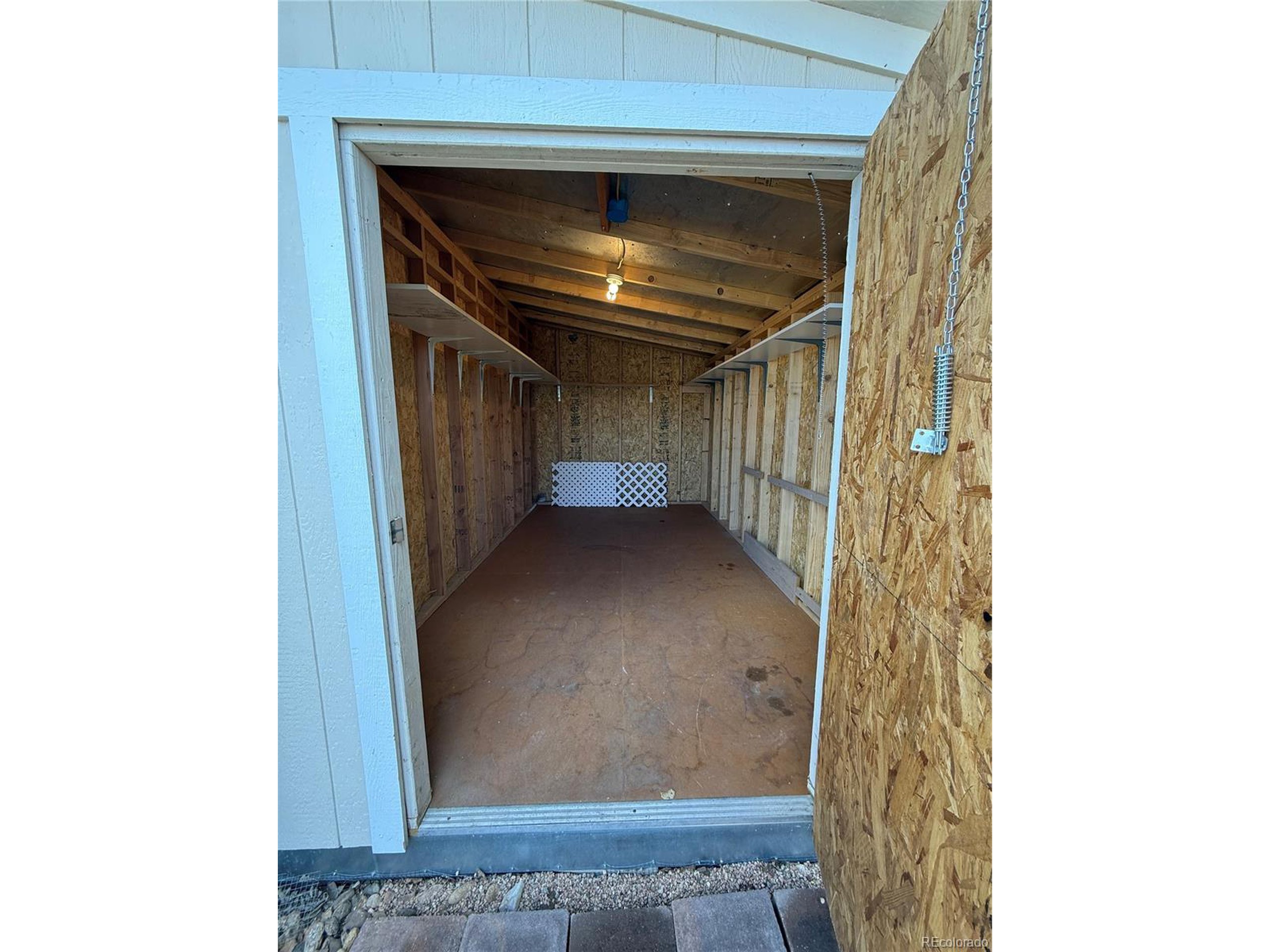 7870 Sunflower Green 151