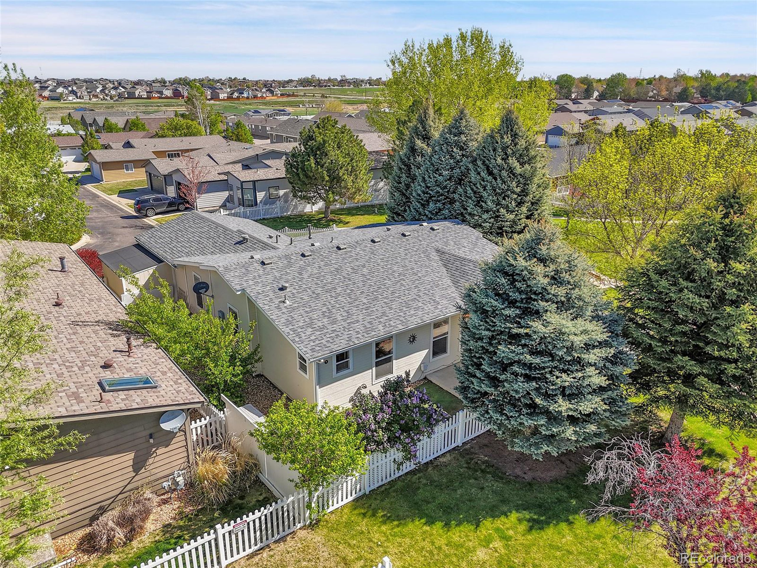 7870 Sunflower Green 151