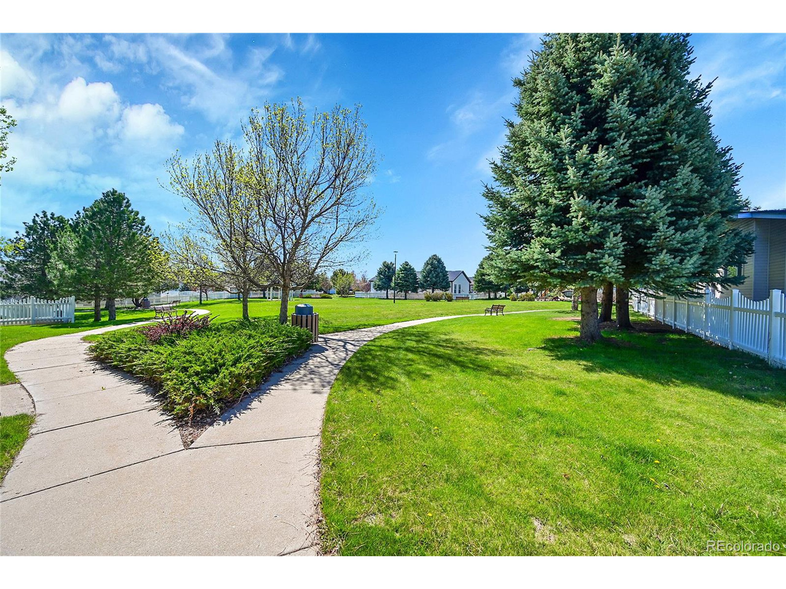 7870 Sunflower Green 151