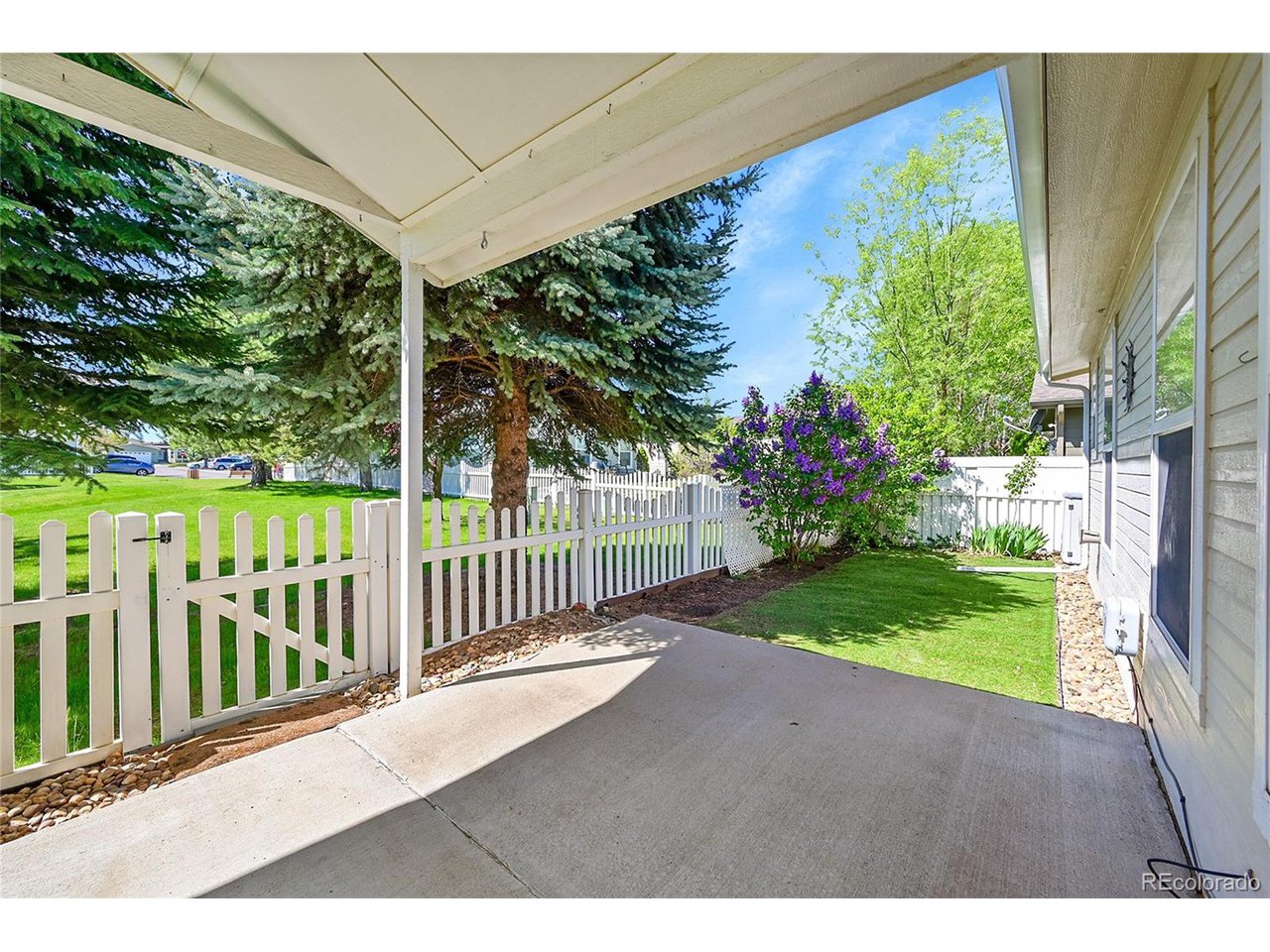 7870 Sunflower Green 151