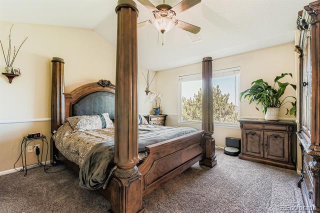 282 Tall Spruce Circle