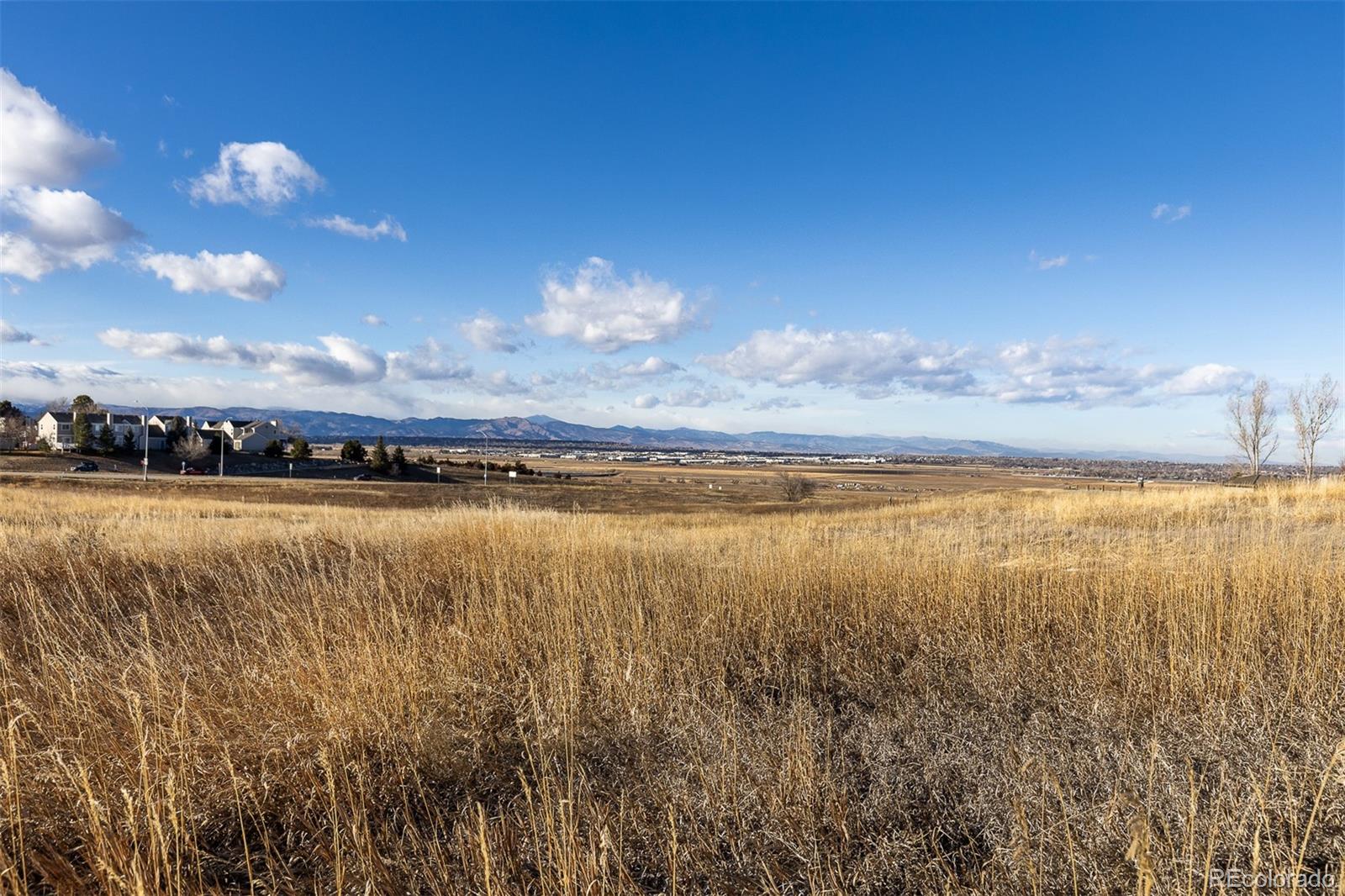 1136 Opal Street Unit: 201