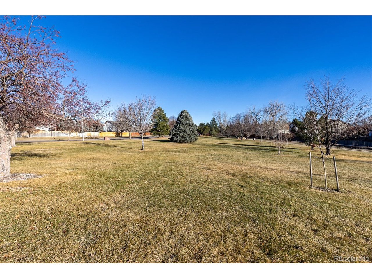 1136 Opal St 201