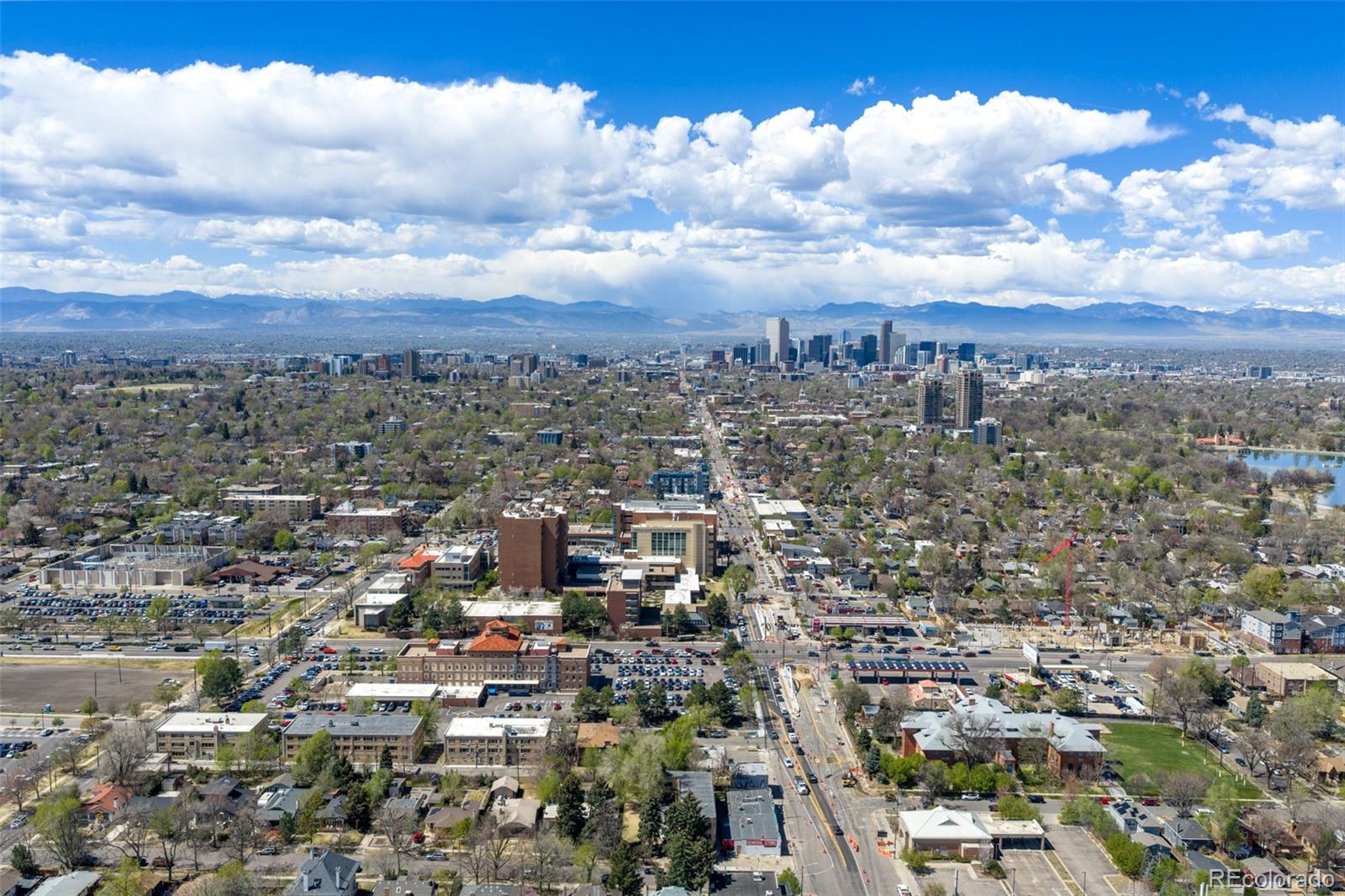 1481 Ash Street Unit: 4