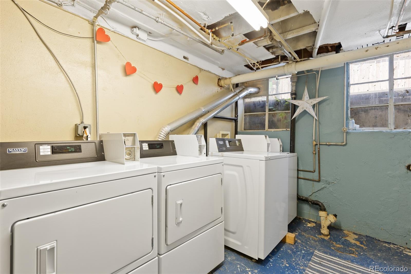 1481 Ash Street Unit: 4