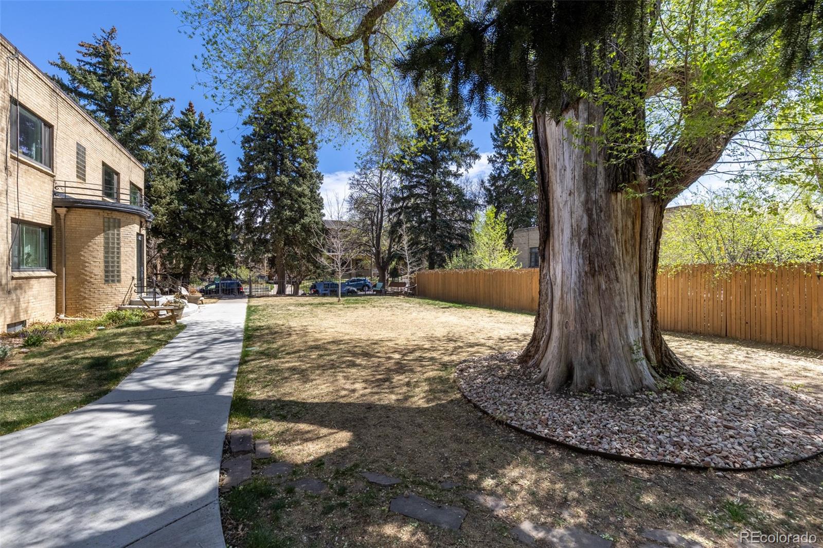 1481 Ash Street Unit: 4
