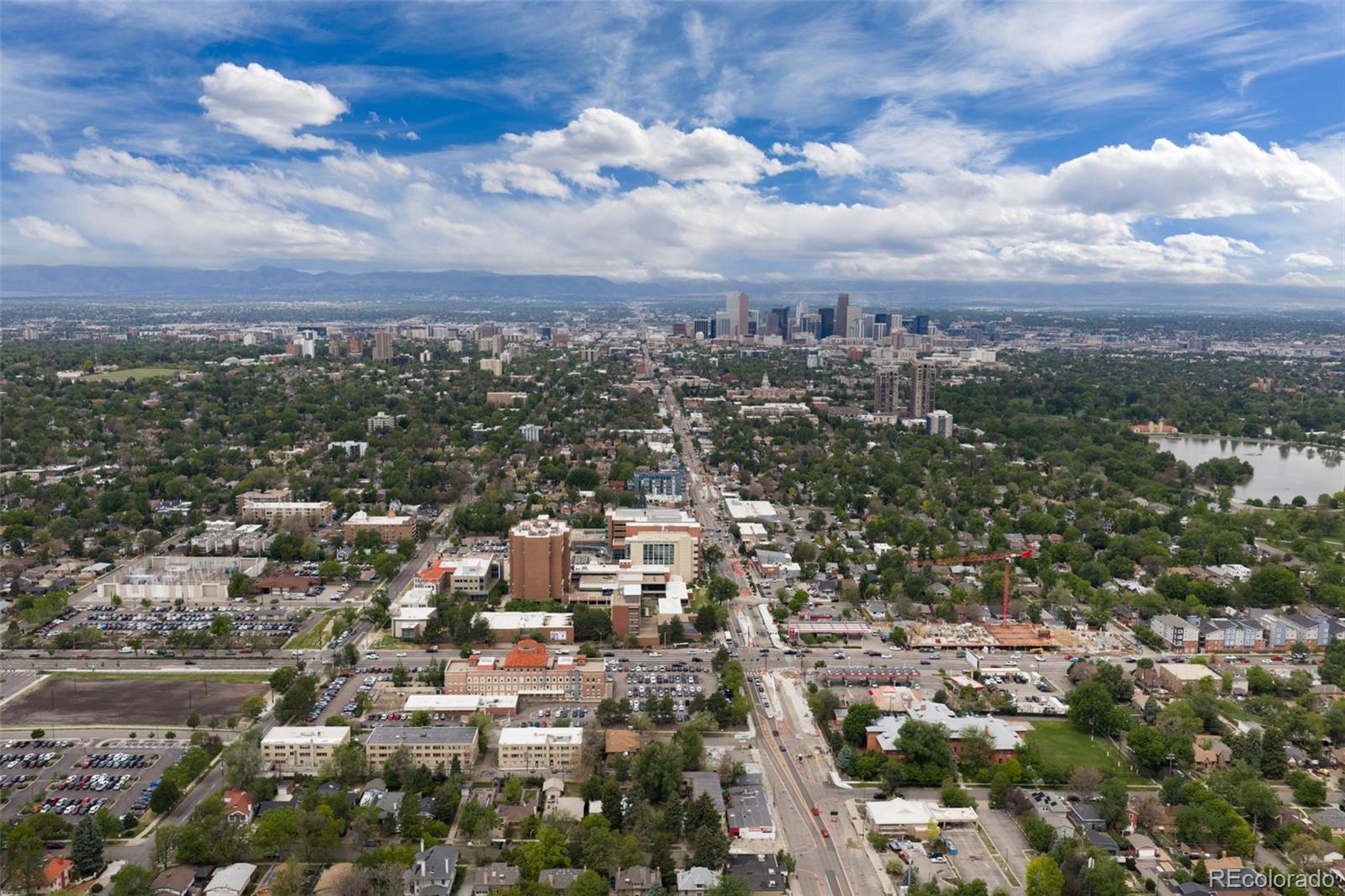 1481 Ash Street Unit: 4