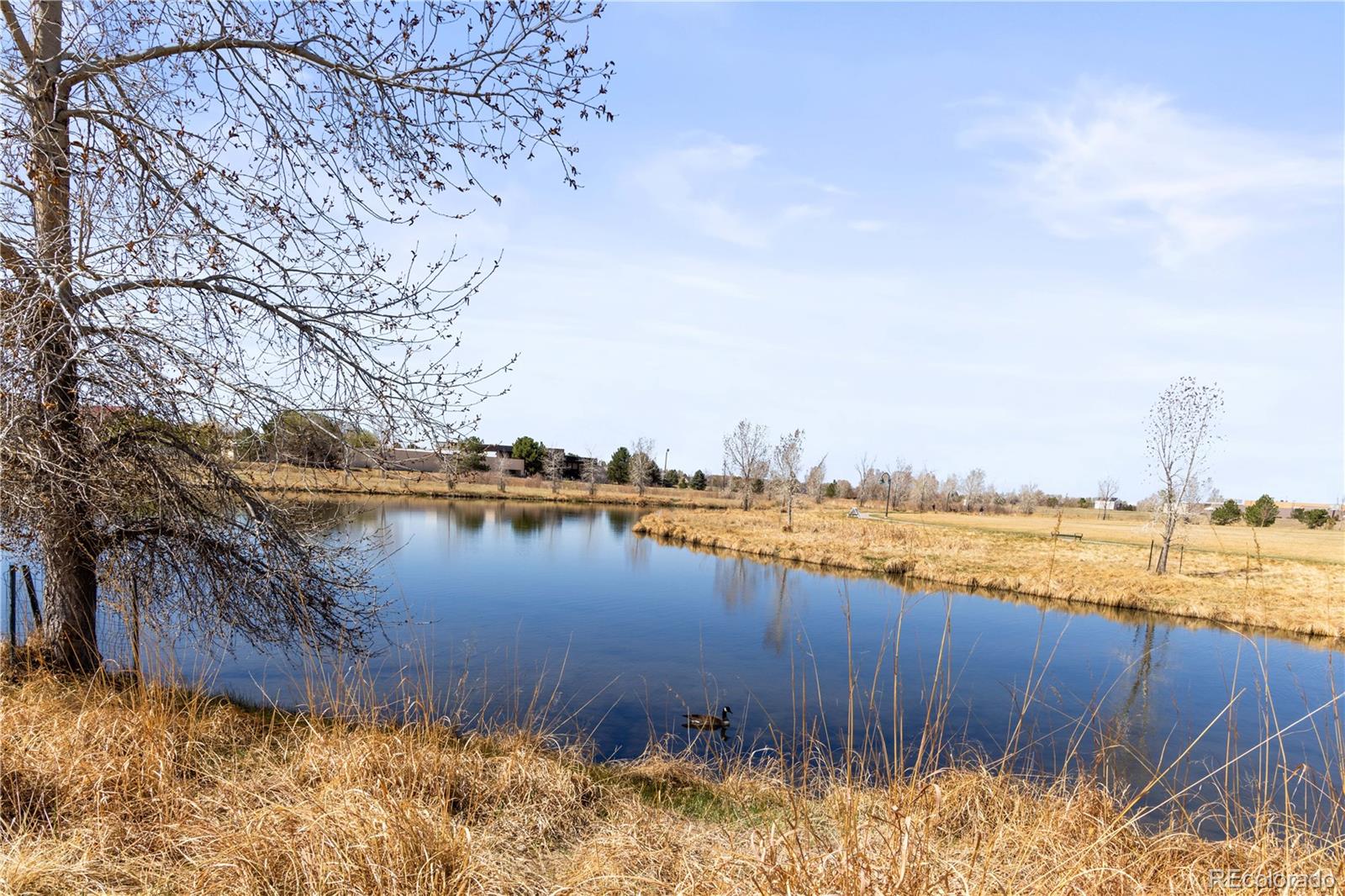 8200 E 8th Avenue Unit: 1203