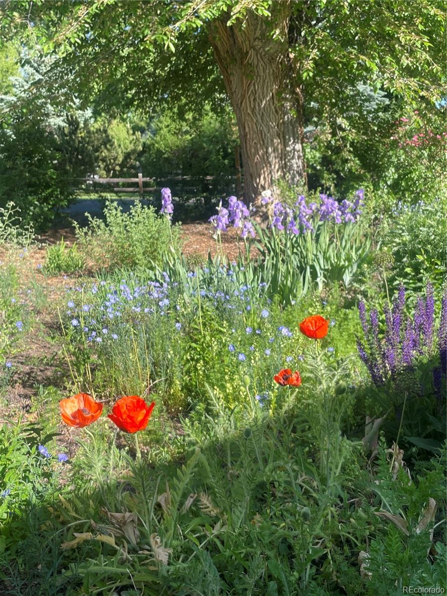 2480 Brentwood Street