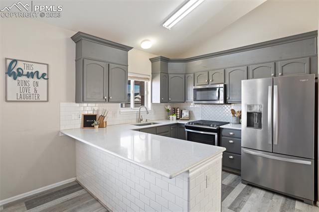 463 N Desert Cove Drive