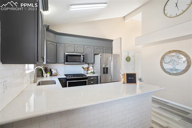 463 N Desert Cove Drive