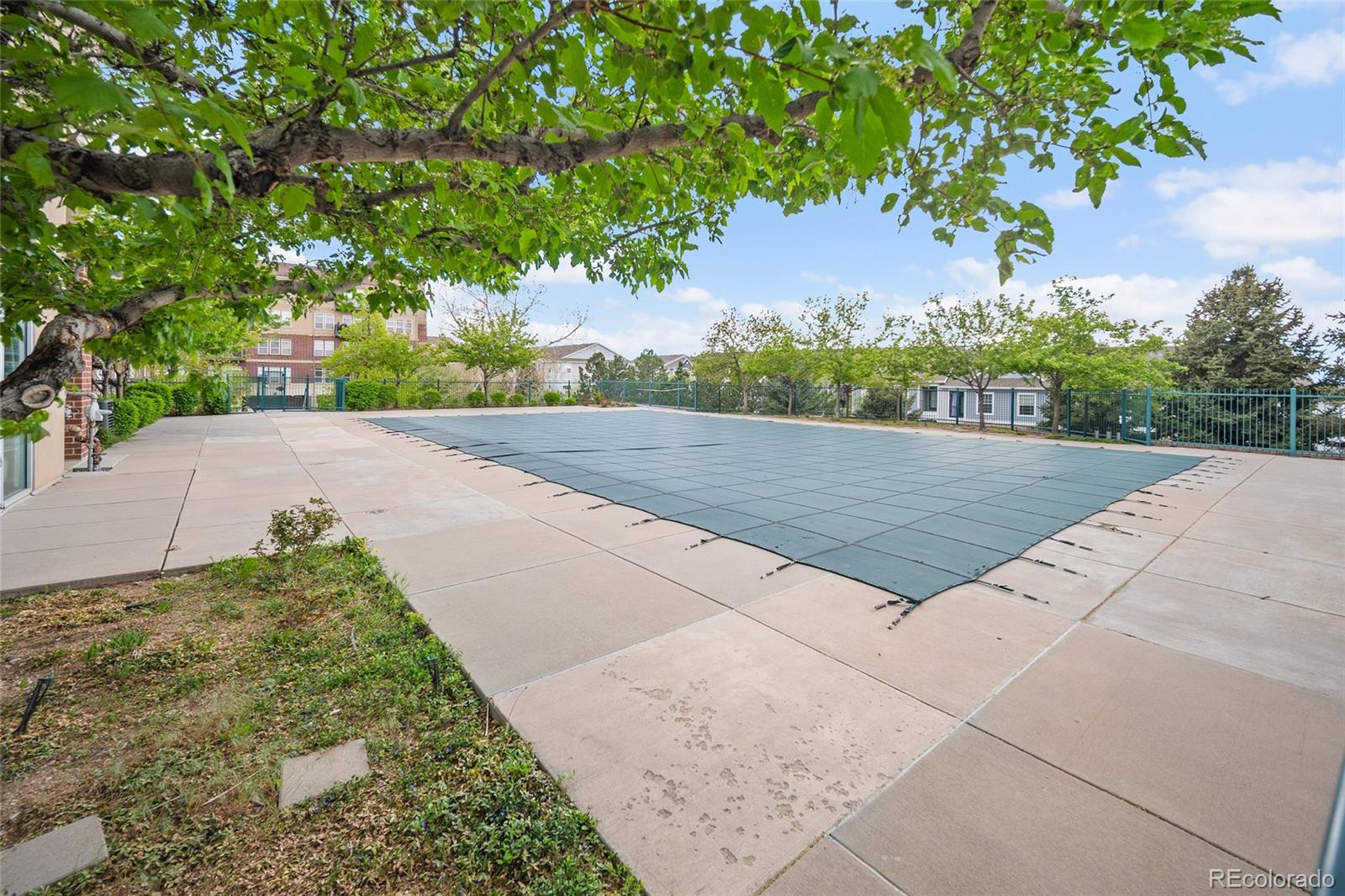10176 Park Meadows Drive Unit: 2312