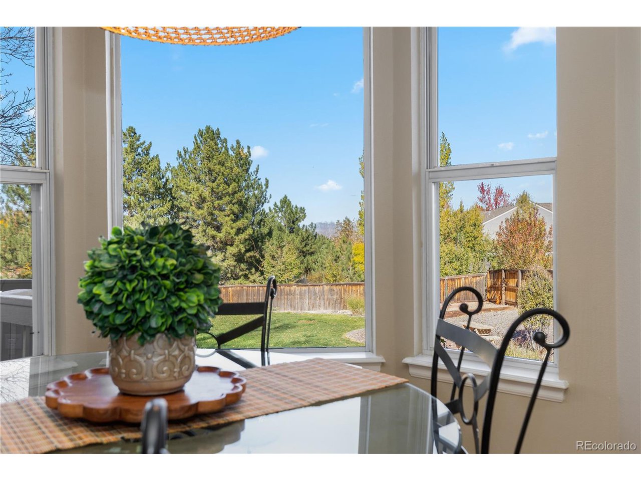 10015 Hughes Pl Highlands Ranch