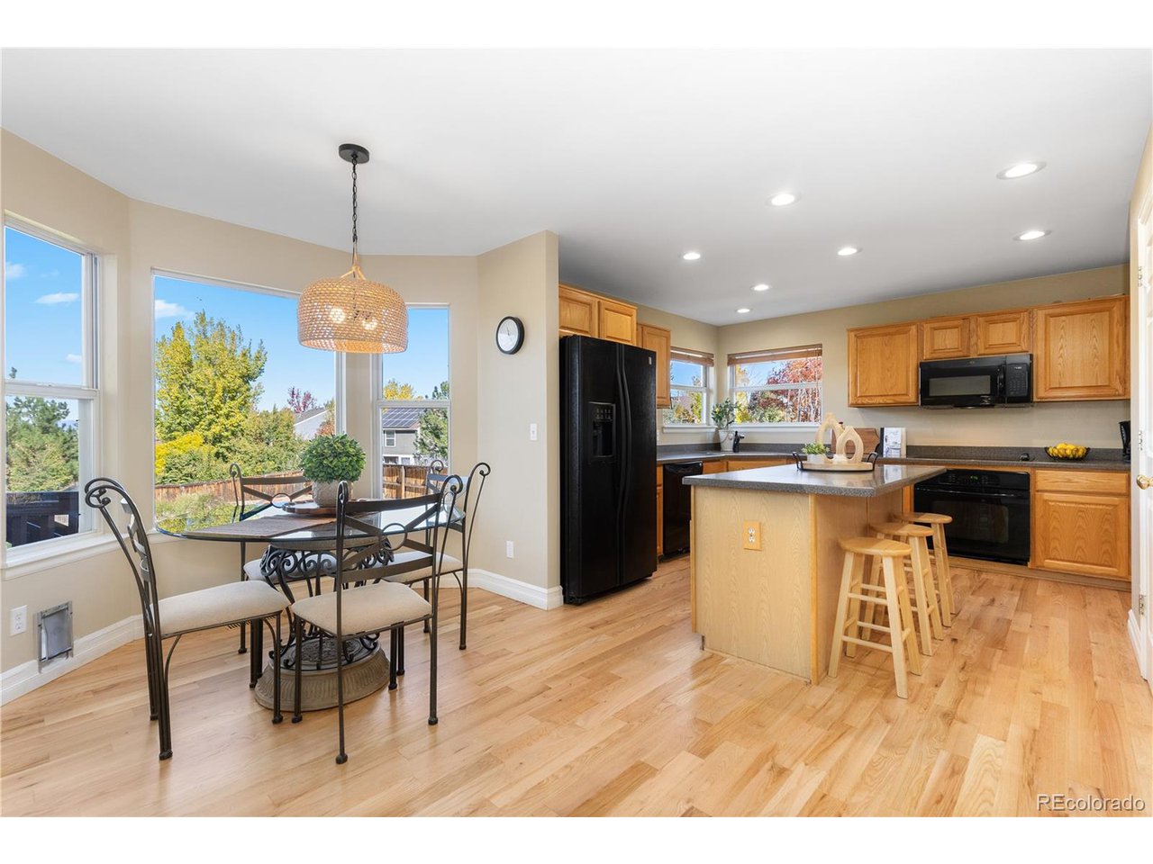 10015 Hughes Pl Highlands Ranch